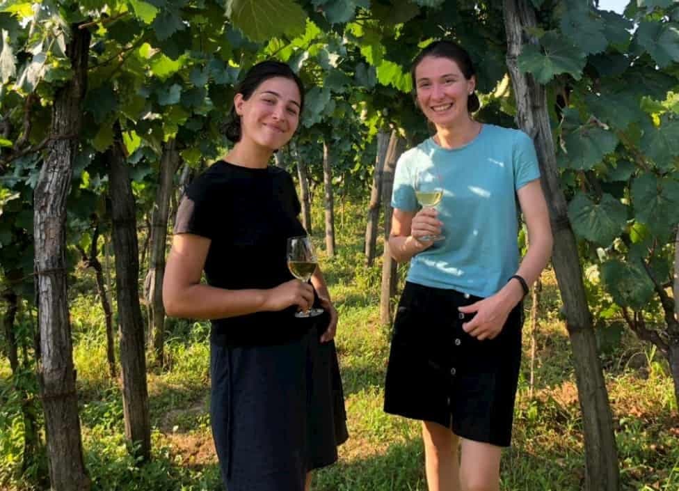 Cardano unveils first commercial supply chain application, deployed in wine supply