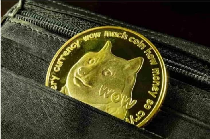 DOGE's road to $1 stagnate despite Musk's sustained support