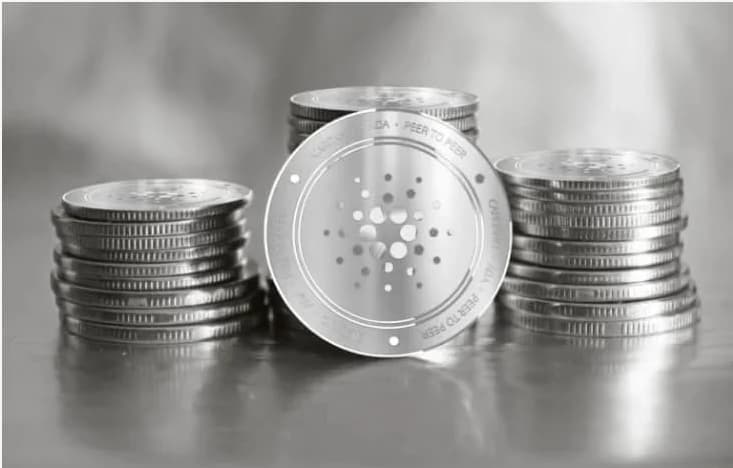 Cardano adds more than 50,000 new staking addresses in three weeks