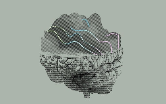 Elon Musk's Neuralink startup raises $205 million led by Dubai-based VC firm