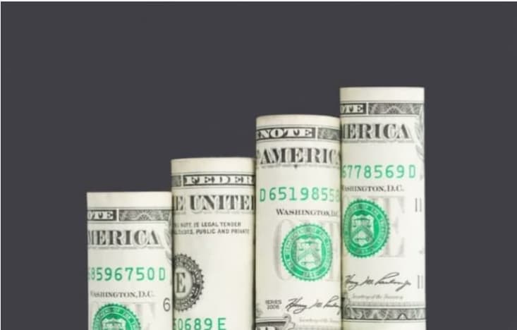 Inflation-protected bond ETFs 2021 net inflow surpasses entire 2020