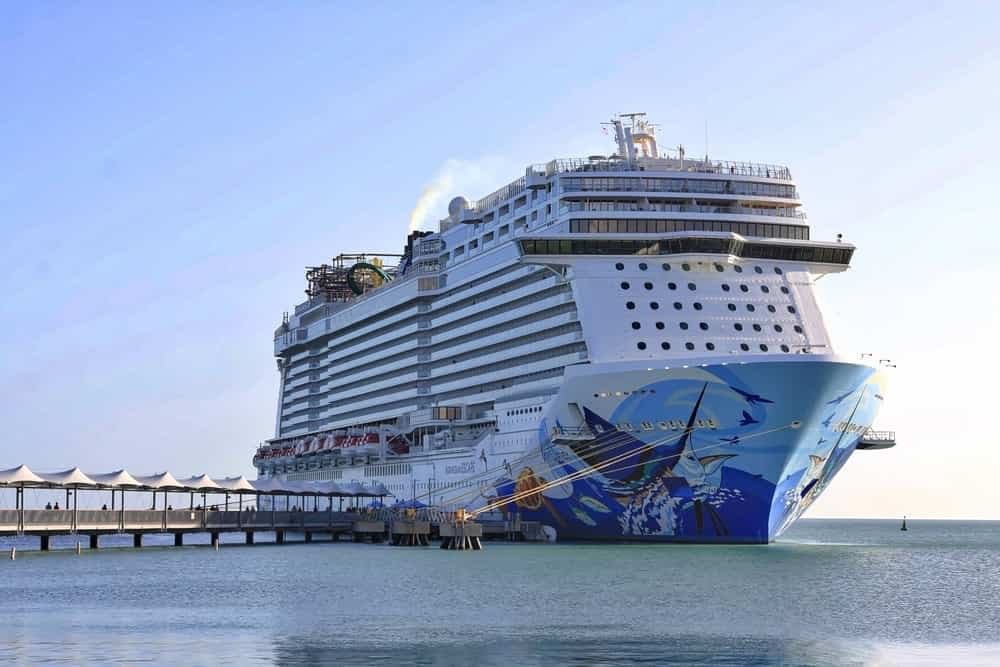 Citi analyst sees a brighter future for cruise lines as sector looks ‘much more positive’