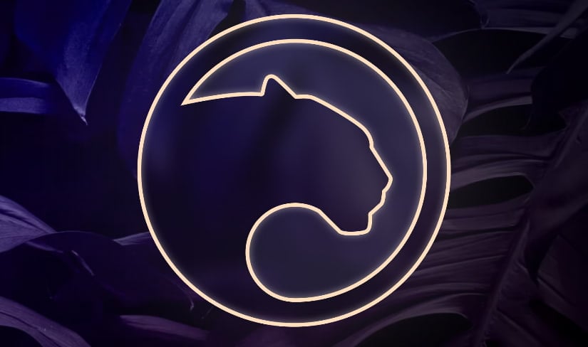 Panther Protocol raises $22M in public sale to build interoperable privacy ayer for DeFi and Web3