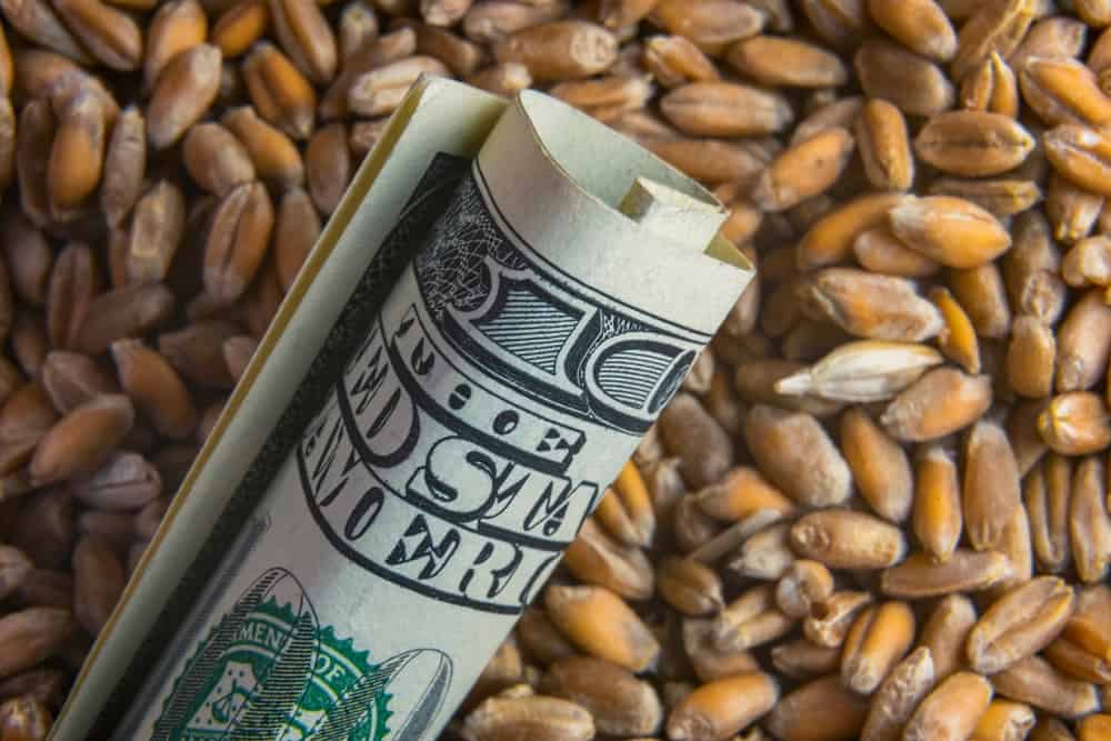 Global wheat price hits a 14-year high, surging almost 80% in 12 months