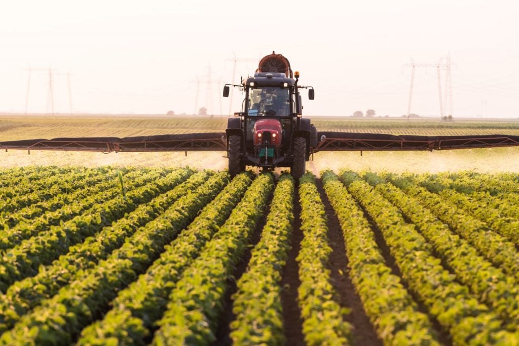 Green gold: The renewable energy stock setting new records for investors