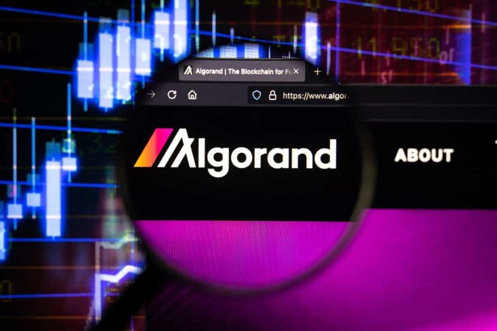 Algorand’s total value staked soars 40% in 2 months amid spiking weekly on-chain activity