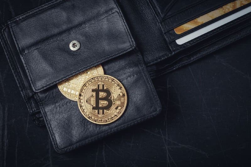 Number of Bitcoin holders has been steadily rising amid bear market