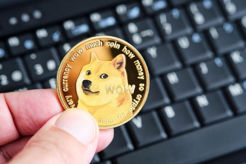 Over 60% of Dogecoin holders are still in profit despite market volatility