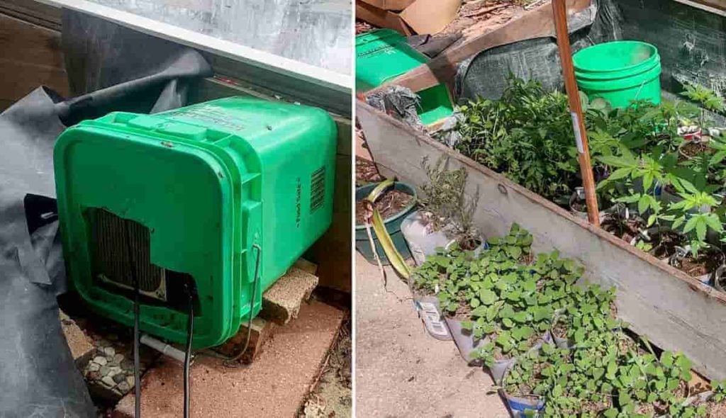 Tech enthusiast converts Bitcoin miner into heater to grow cannabis