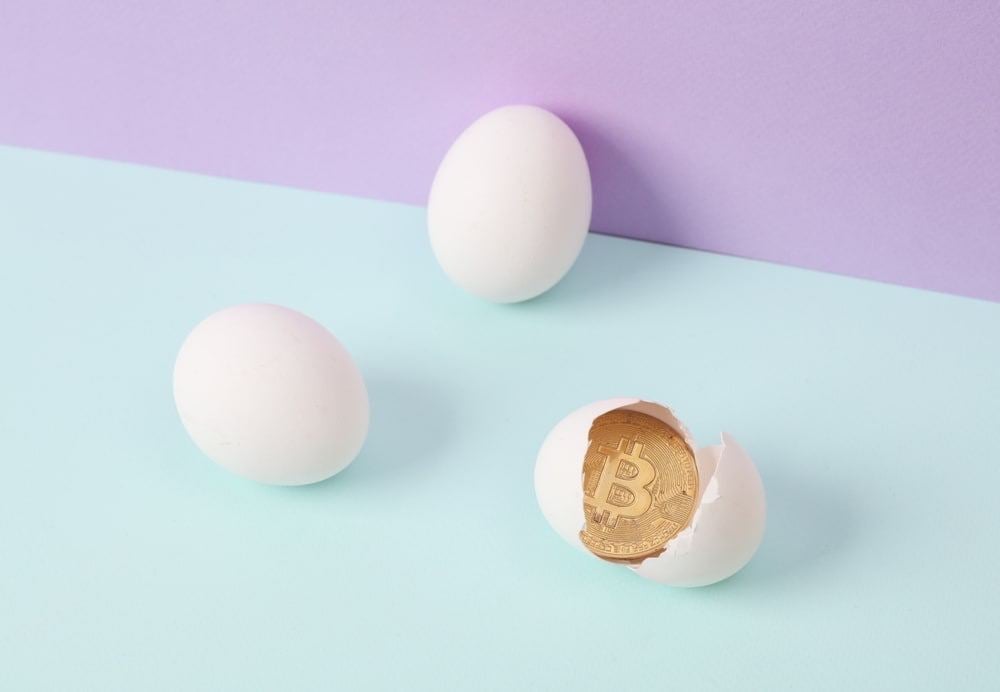 Eggs priced in Bitcoin down 82% in 5 years