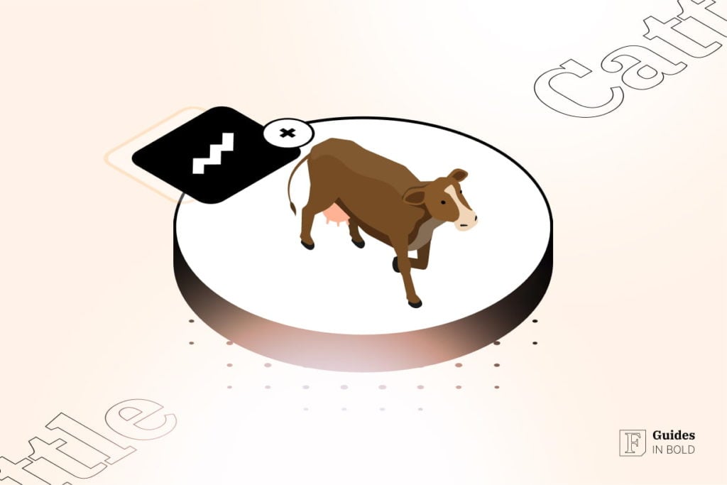 How to Invest in Cattle