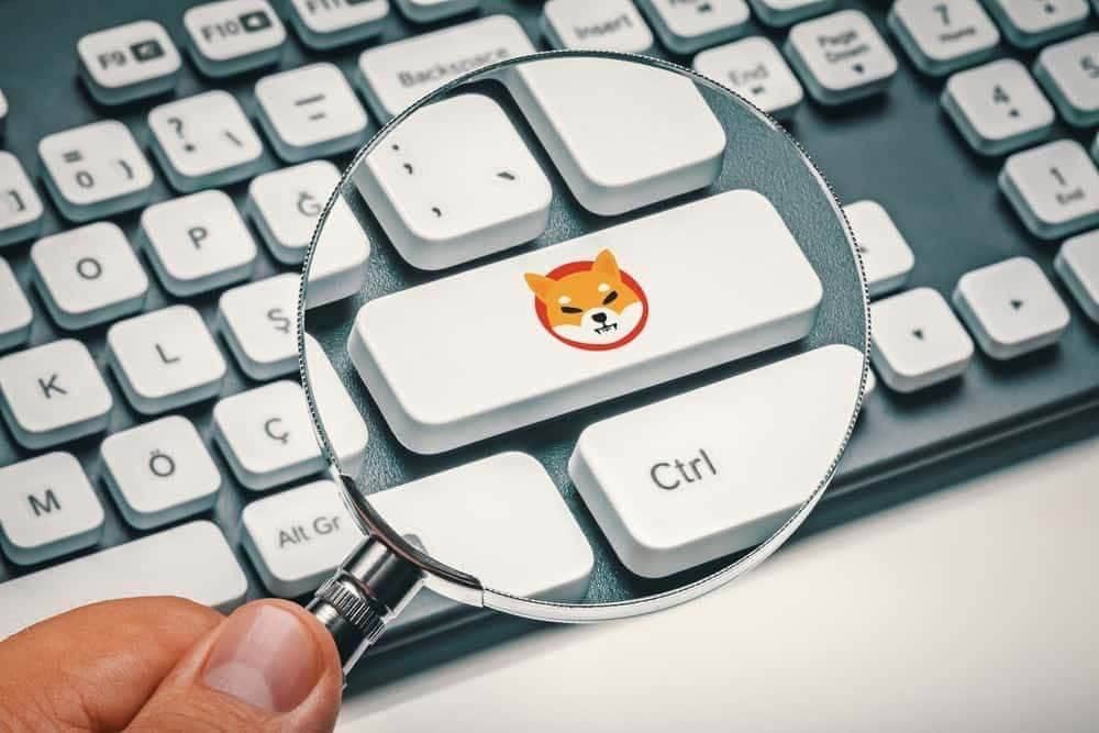 Shiba Inu price pump imminent? Newborn whale bags 2 trillion SHIB tokens