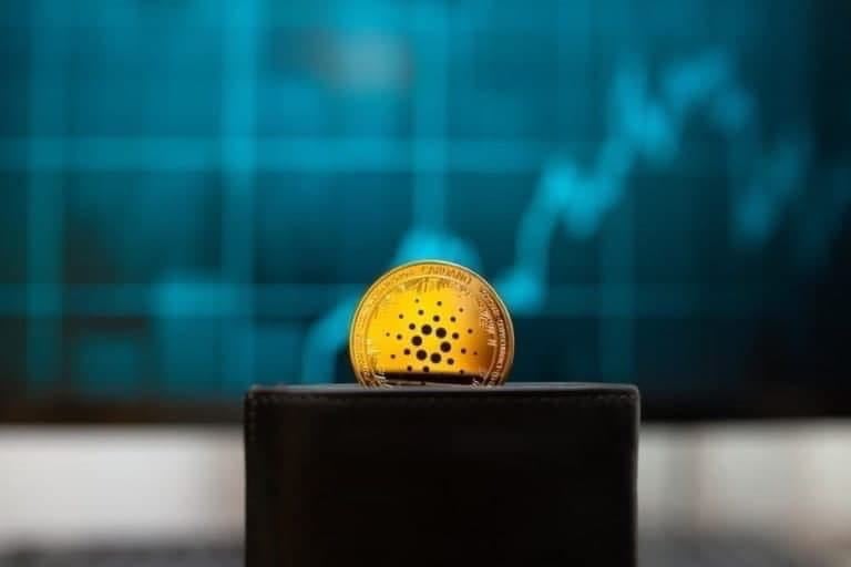 Cardano adds 250k new wallets since April despite ADA price drop