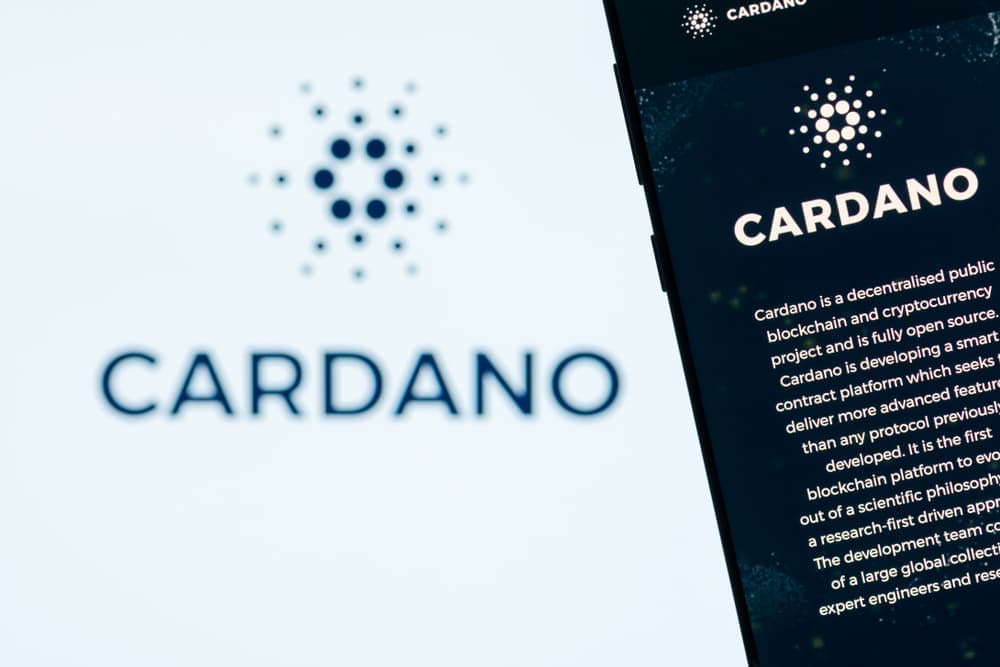 Cardano tops developer activity charts in October leaving DOT, HBAR behind