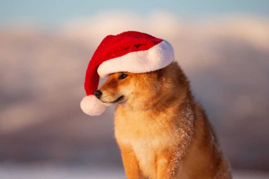 Machine learning algorithm predicts Shiba Inu price for Xmas day