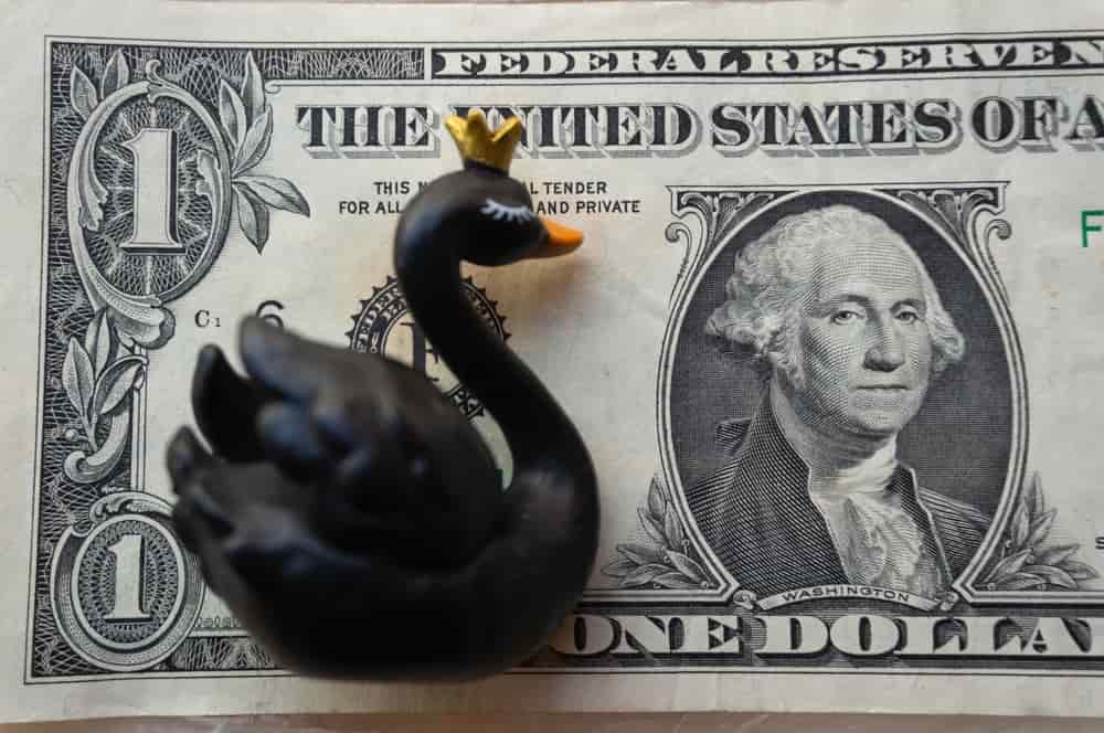 This Black Swan event could derail 2024 U.S. elections, warns entrepreneur Gary Cardone