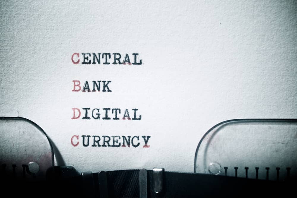 CBDCs vs. Private Cryptocurrencies: What Do We Have To Fear From Central Bank Digital Currencies?