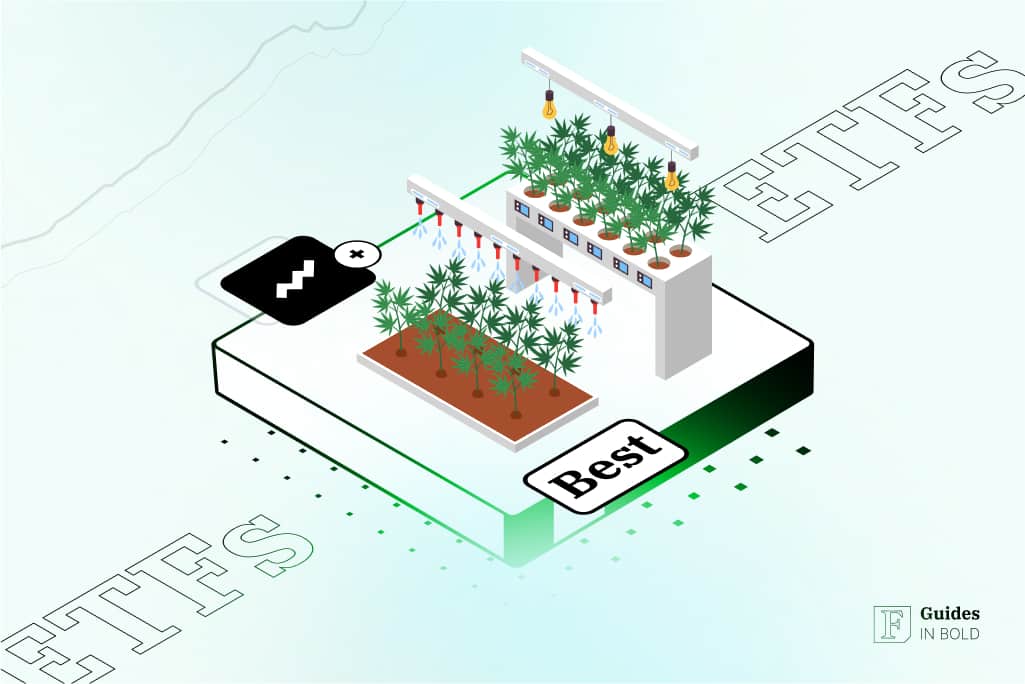 3 Best Weed ETFs to Watch Out for in 2024