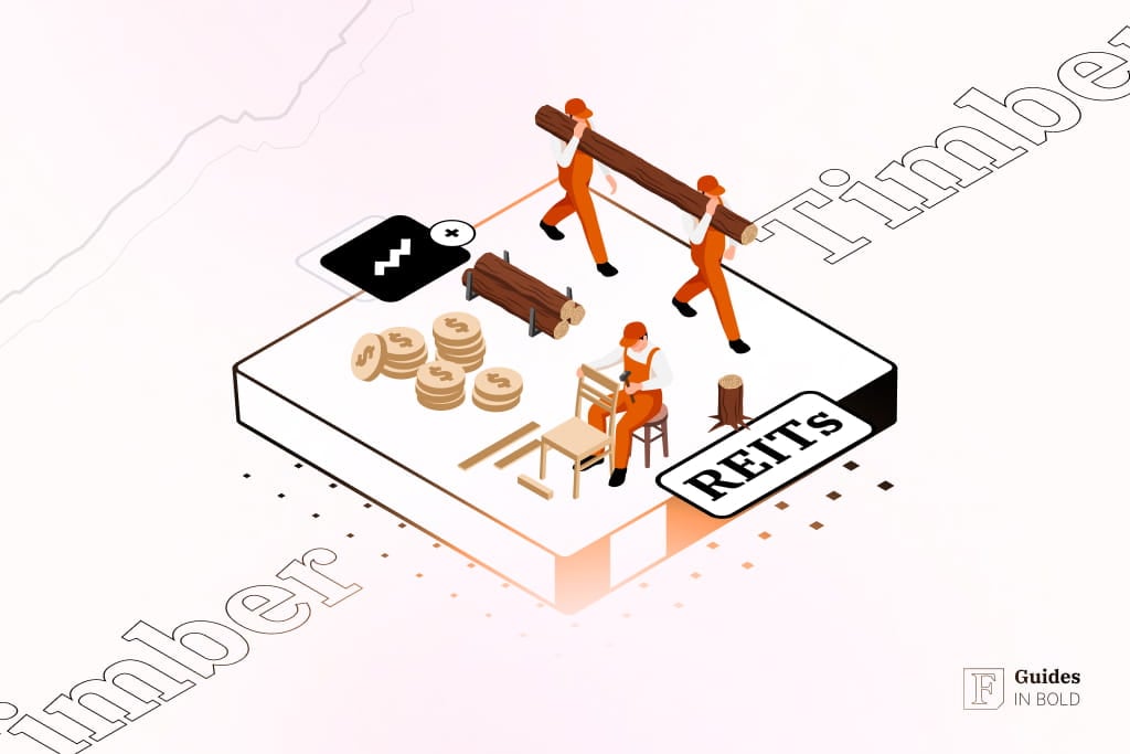 Top 3 Timber REITs to Invest in