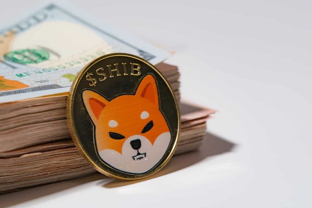 $1,000 invested in SHIB at start of 2024 returned
