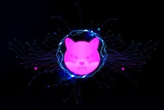 Machine learning algorithm sets SHIB price for February 29