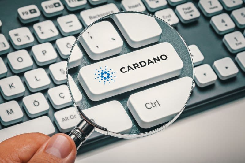 Shots fired: Arthur Hayes slams Cardano as ‘dogsh*t’ and ‘wannabe Ethereum’