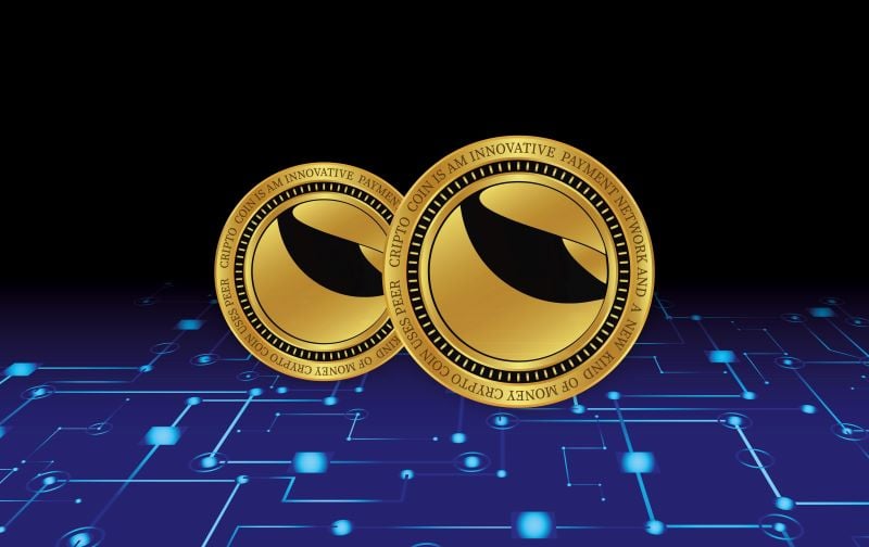 Finance experts set Terra Classic price for end of 2024