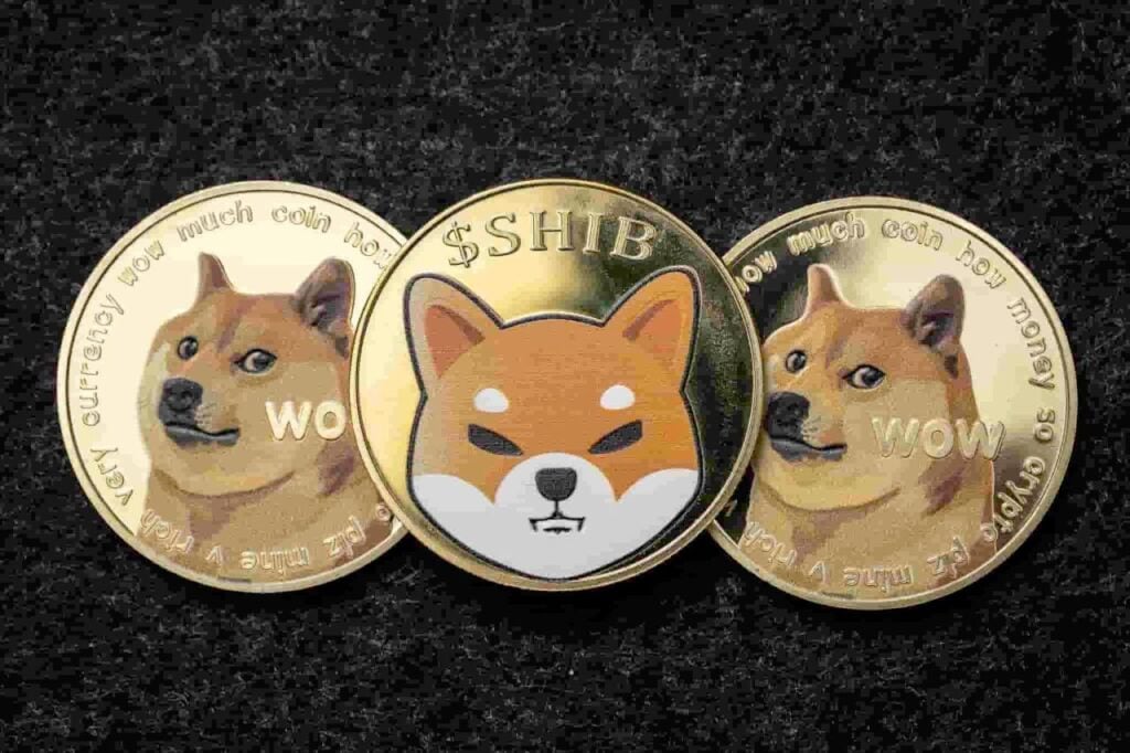 New meme coin listed by Binance surged over 200% today