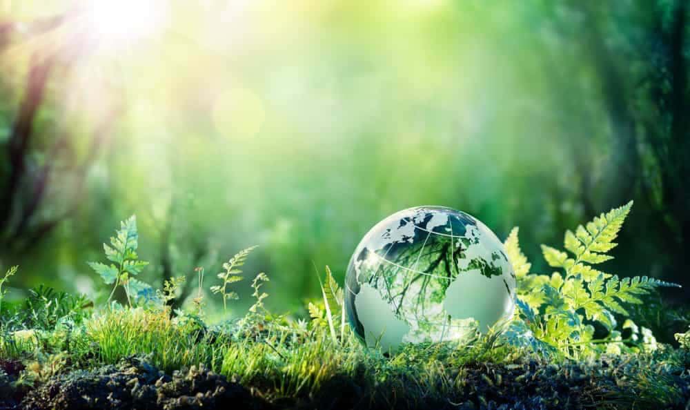 Reducing carbon emissions with AI A revolutionary approach