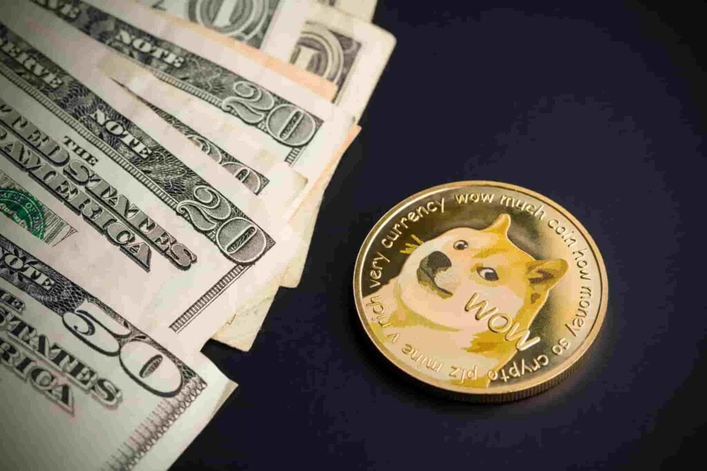 Is it too late to invest in DOGE?