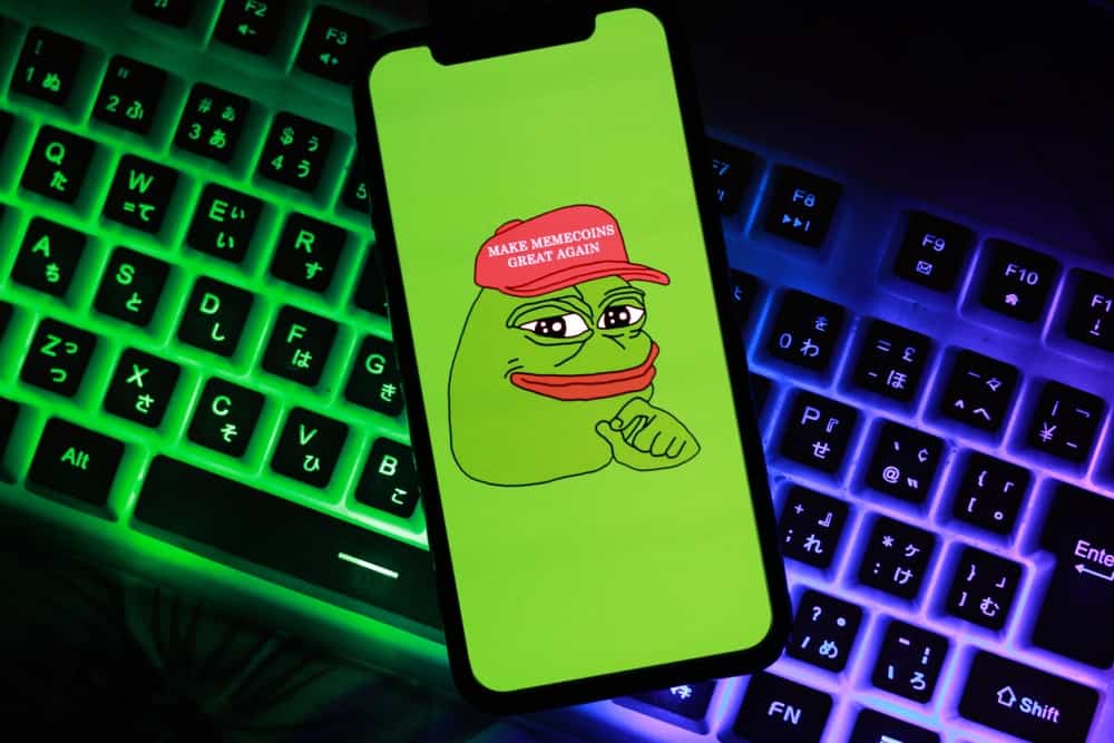 Is the meme coin mania back to crypto?