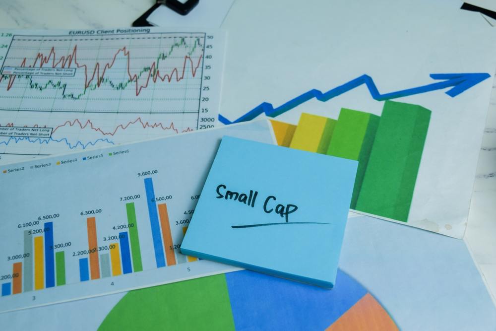 2 small-cap stocks to turn $100 into $1000 by the end of 2024