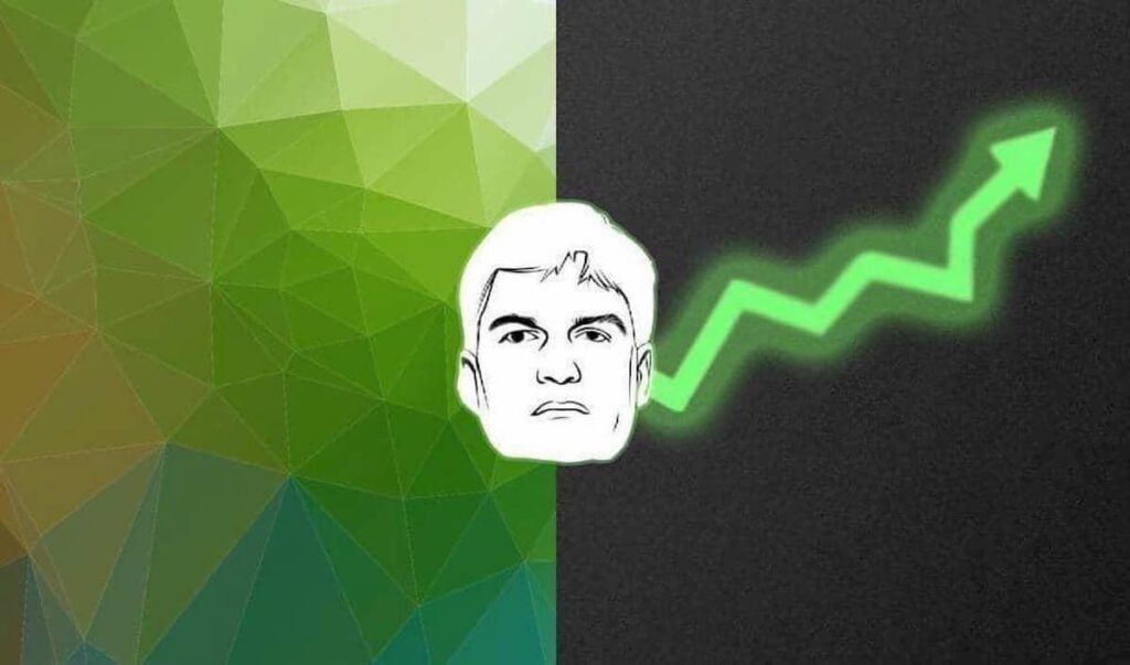 Here's how much Michael Burry has made on this low-profile stock