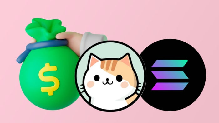 Solana Whale Spots Bullish Signs in ZDEX Is Jupiter’s Rival the Next Big Thing
