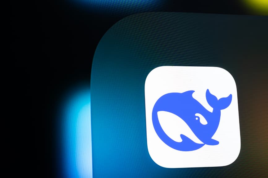 DeepSeek AI names the two stocks that will win in 2025