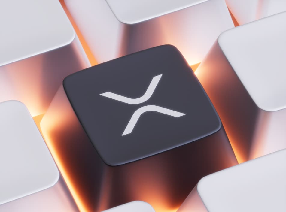 XRP network activity collapses 65%