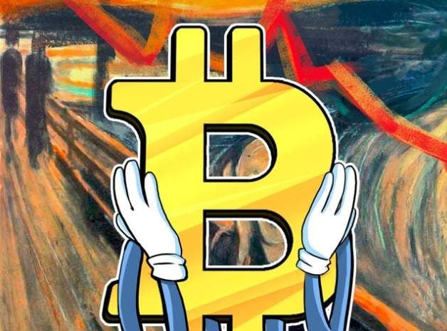 TALL Miner Launches Hash Power Frenzy Earning $10,000 a Day
