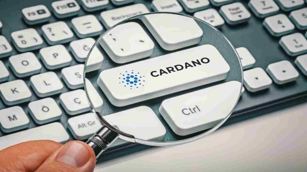 Cardano price prediction after ADA flashes major buy signal thumbnail
