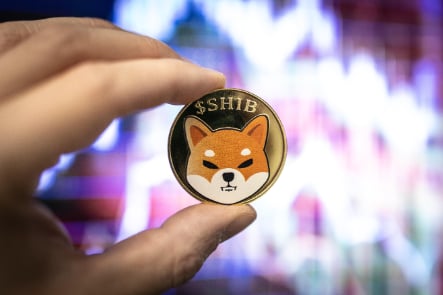 Machine learning algorithm predicts SHIB price on August 31, 2026 thumbnail