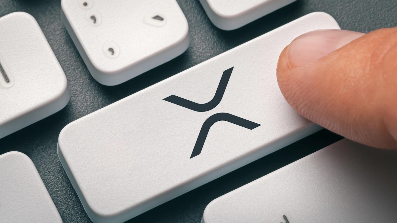 Machine algorithm sets XRP price for August 1, 2026