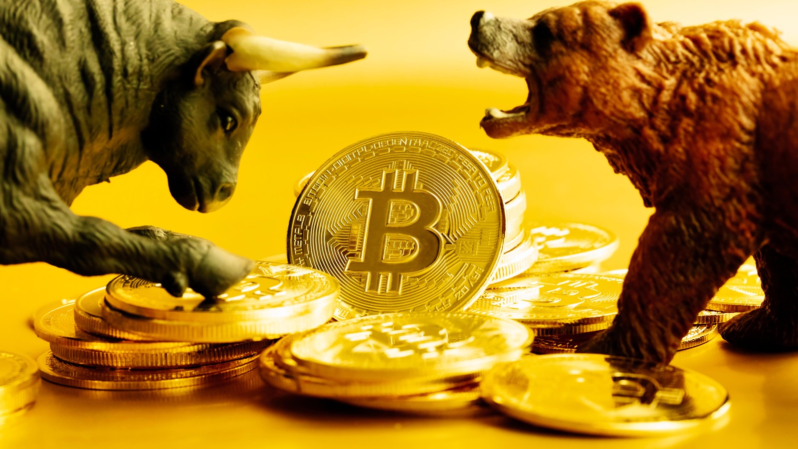 Bitcoin signals potential bear market reversal