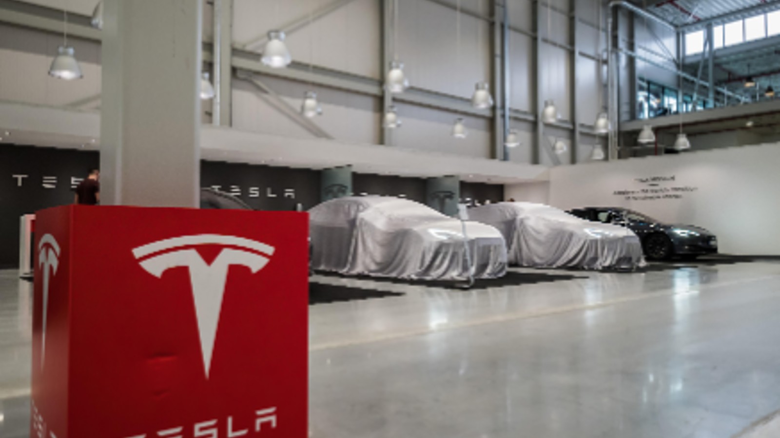 Tesla Shows Historical Strength in Calendar Week 37, Though Recent Selloff Weighs on Stock